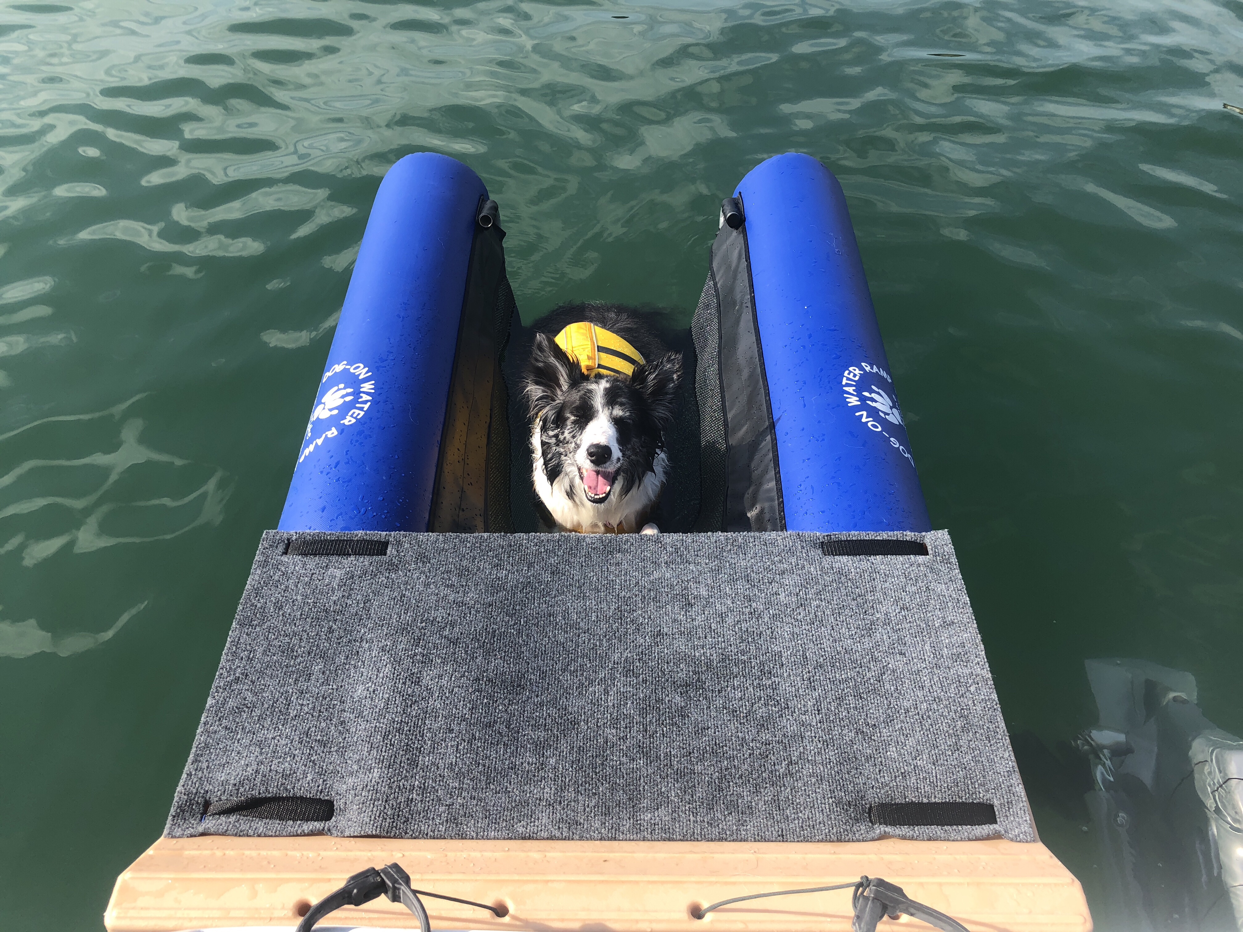 DogOn Water Ramp Life En Route